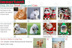Pet Christmas Costumes Dog Suit with Cap Santa Claus Suit Dog Hoodies Cat Xmas Costumes (Red, S)