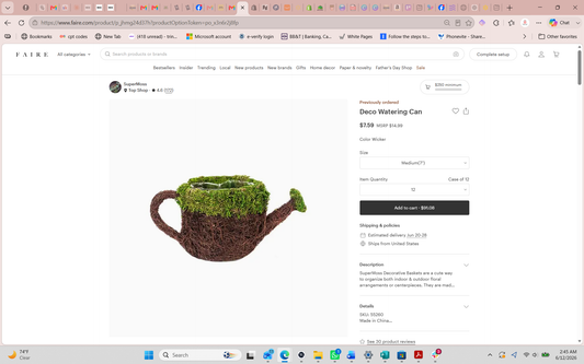Deco Watering Can, Wicker Medium 7"